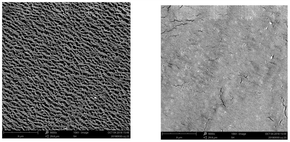 Titanium dioxide colloidal modified diaphragm for lithium-sulfur battery, preparation method thereof, and lithium-sulfur battery