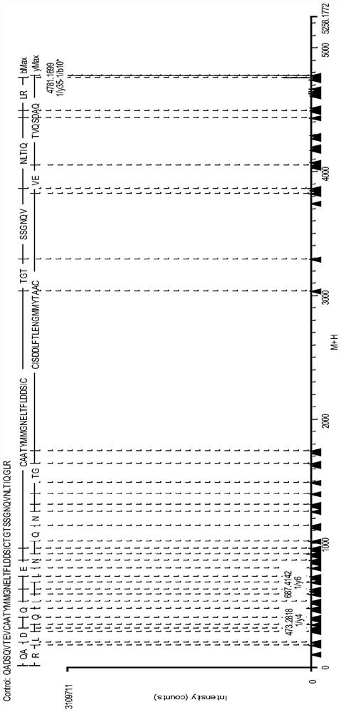 Fusion protein disulfide bond pairing analysis method