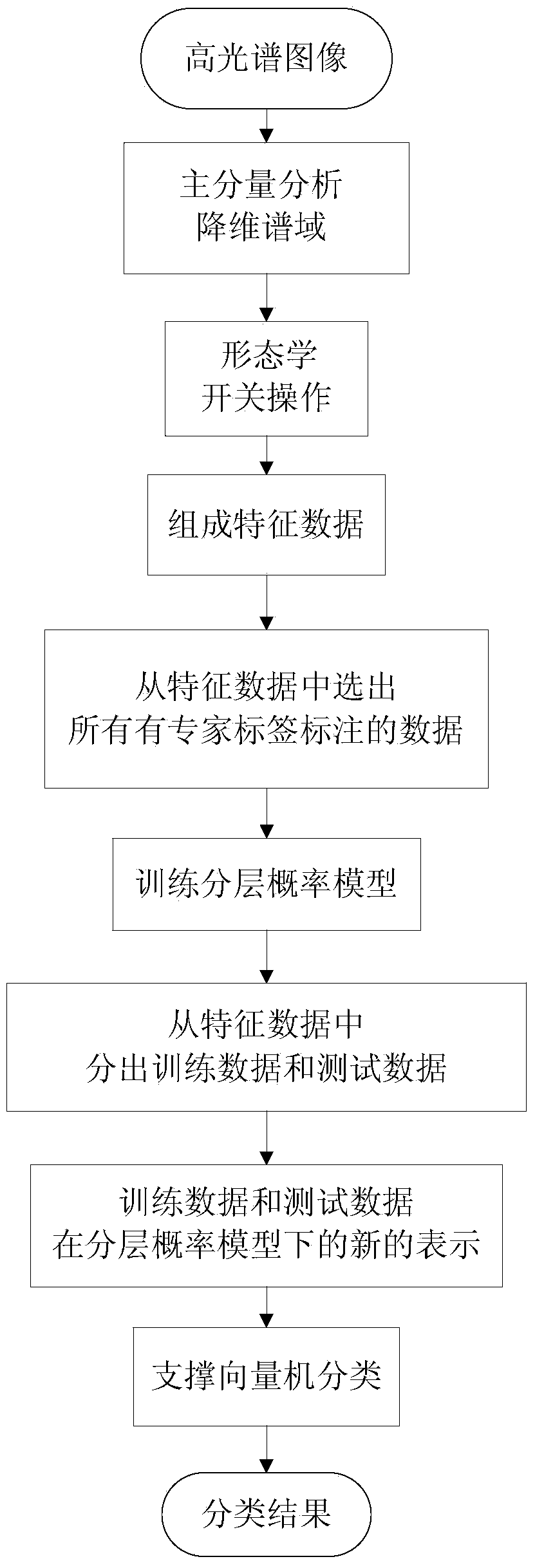 Hyperspectral image classification method based on stratified probability model