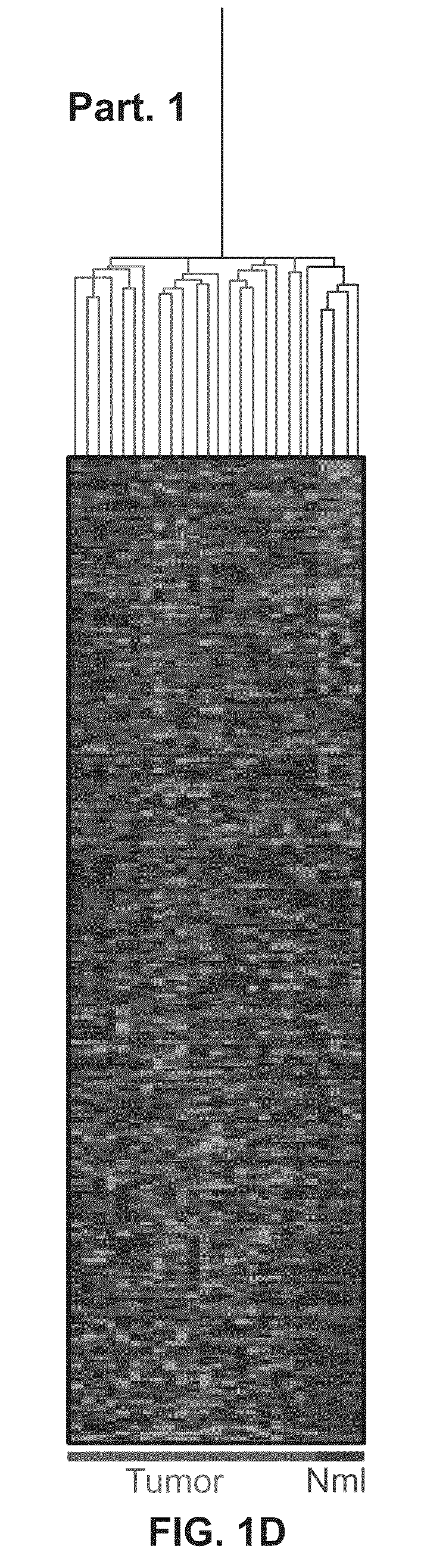 Methods and compositions for treating solid tumors and enhancing tumor vaccines