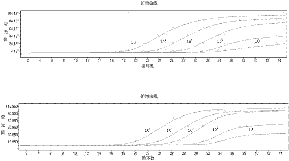 Kit and method for multi-fold fluorescence quantitation detection of cryptococcus neoformans and aspergilli