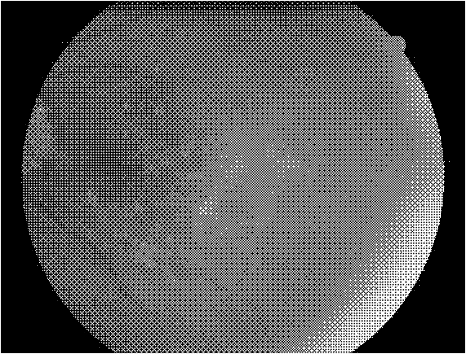 Traditional Chinese drug composition for treating macular degeneration, and preparation method thereof