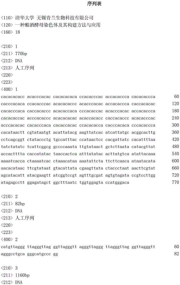 Saccharomyces cerevisiae chromosome as well as construction method and application thereof