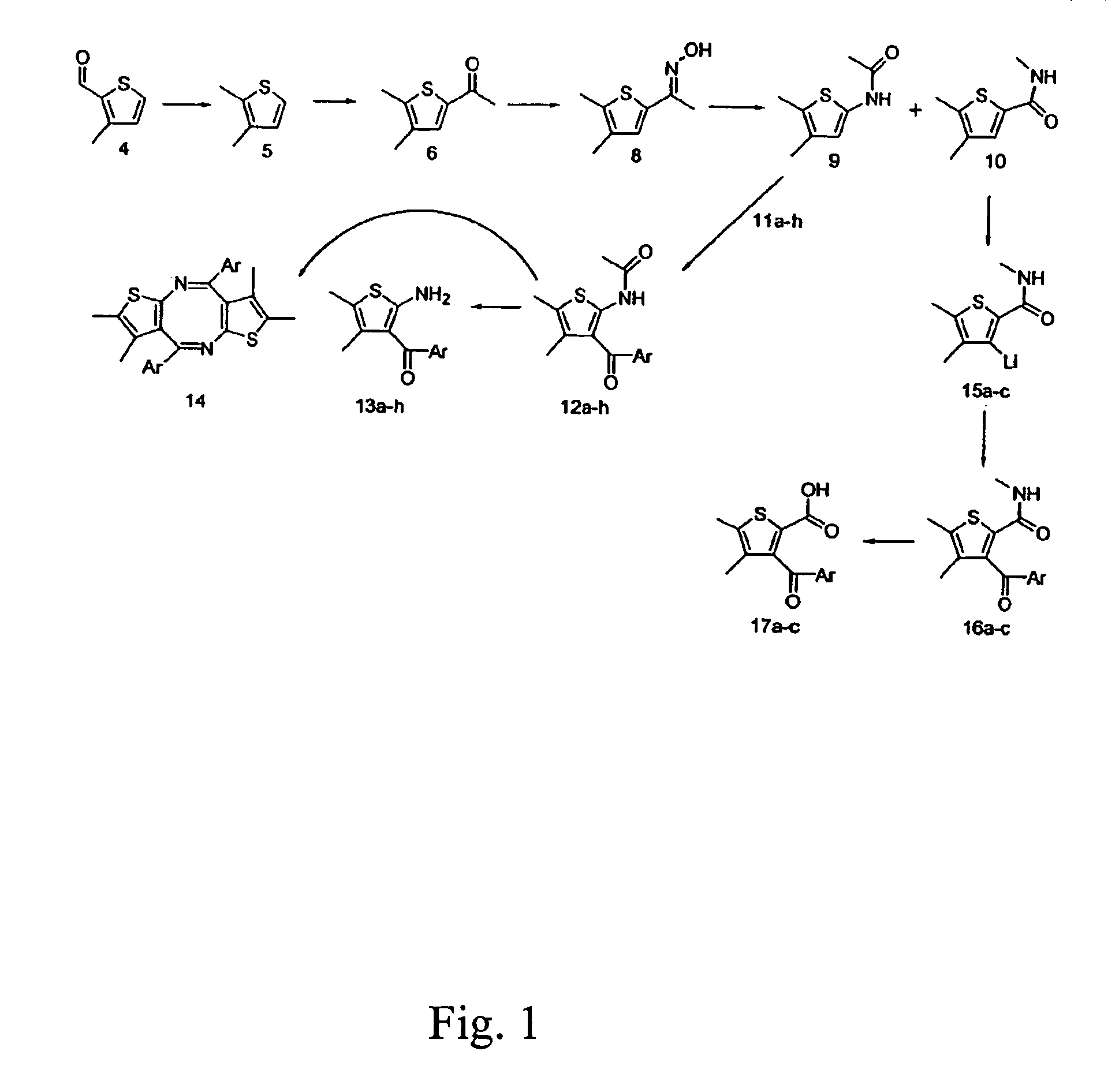 2-amino-3-aroyl-4,5 alkylthiophenes: agonist allosteric enhancers at human A1 adenosine receptors