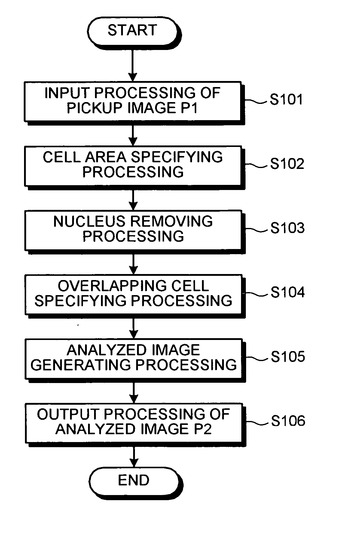 Image processing apparatus