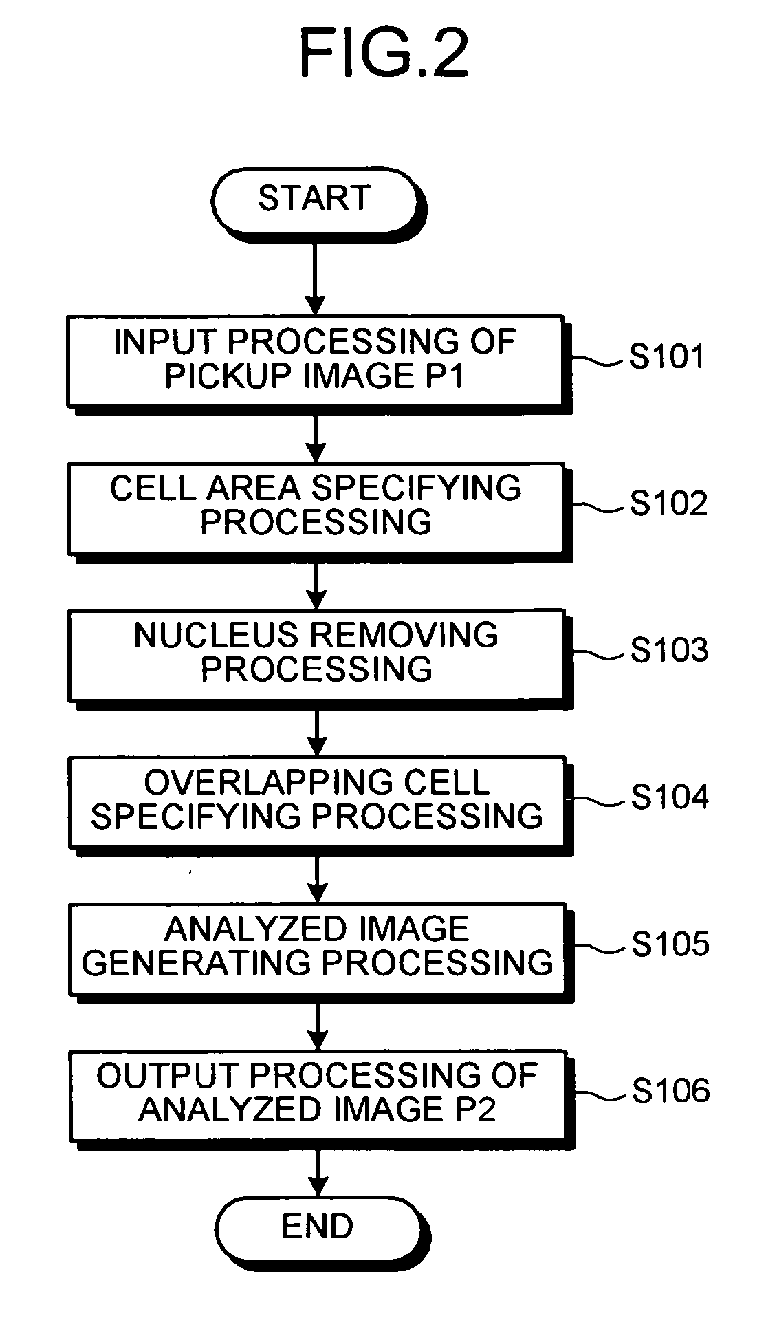 Image processing apparatus