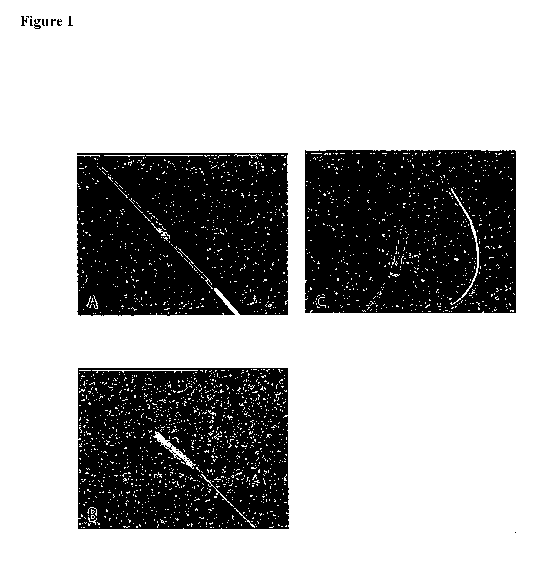 Micronized device for the delivery of biologically active molecules and methods of use thereof