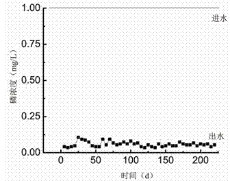 Siderite active sand dephosphorization method