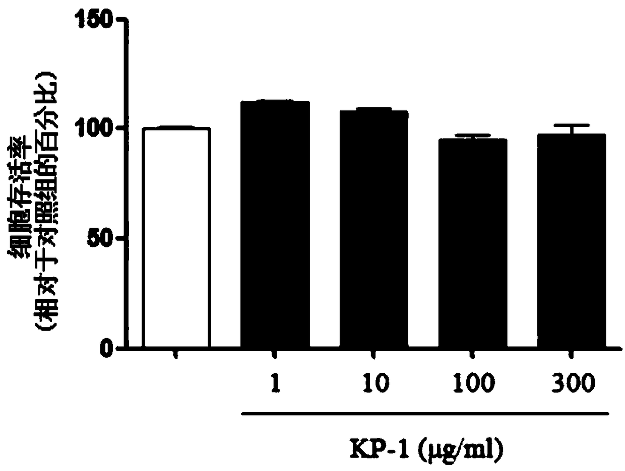 Composition for memory improvement comprising petasites japonicus leaf extract