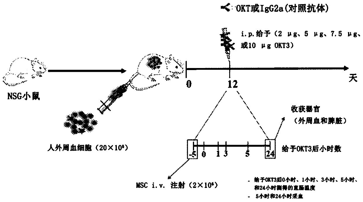 Method for treating side effect of chimeric antigen receptor (CAR) T cell therapy