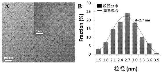 Fluorescent-CT bimodal imaging probe and preparation method thereof