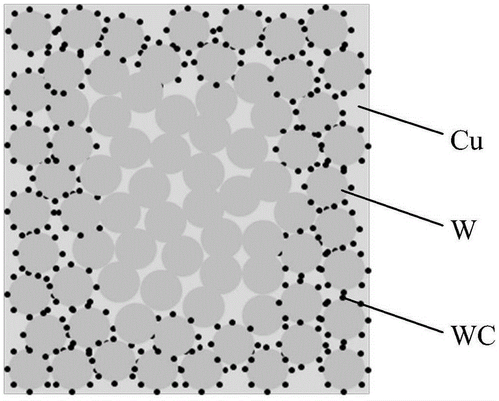 In-situ formation preparation method for gradient WC-strengthened CuW composite material