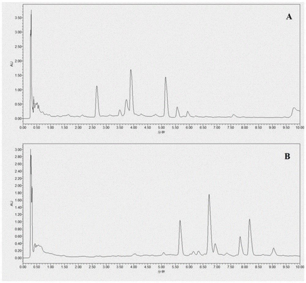 Method for detection of three components including chlorogenic acid in edelweiss edelweiss or its processed products