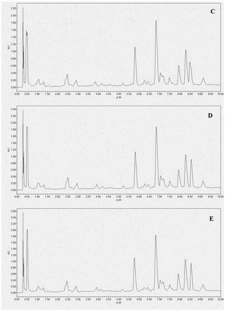 Method for detection of three components including chlorogenic acid in edelweiss edelweiss or its processed products