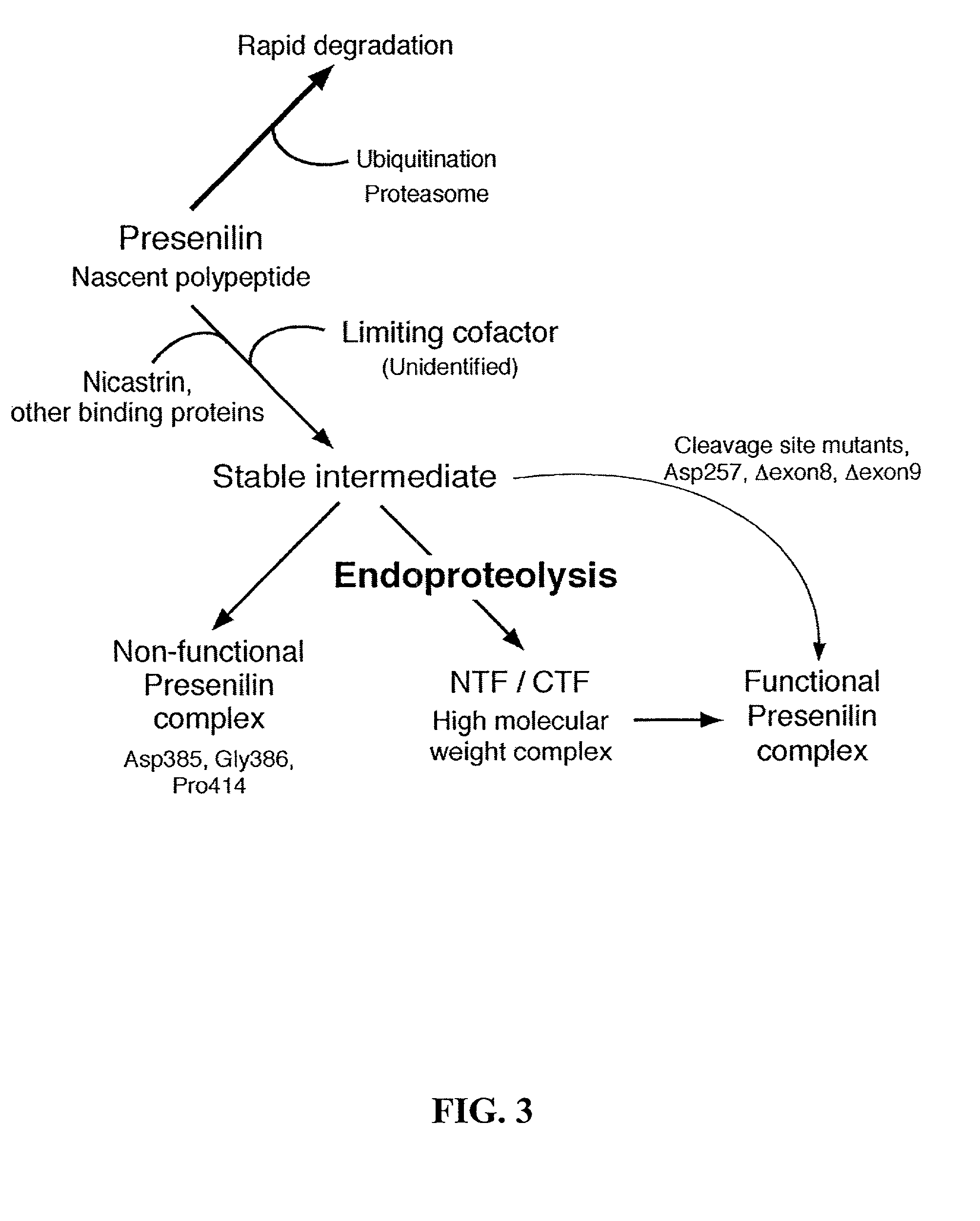 Functional screening