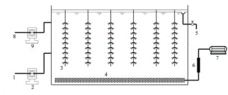 Method for treating lignite quality-improving waste water through aerobic cometabolism