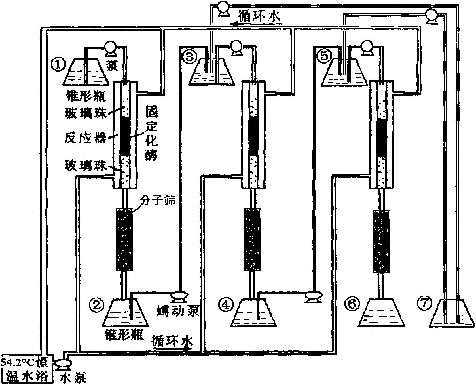 Method for synthesizing citric acid glyceride by immobilized lipase catalysis in multistage fixed bed reactor