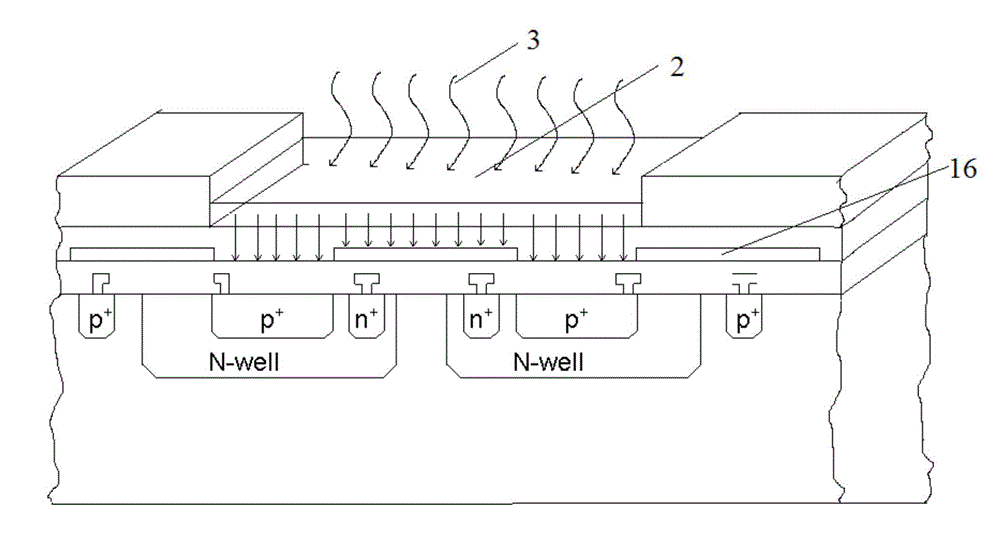 CMOS (Complementary Metal-Oxide-Semiconductor Transistor) contact type fluorescent homogeneous assay array sensing chip