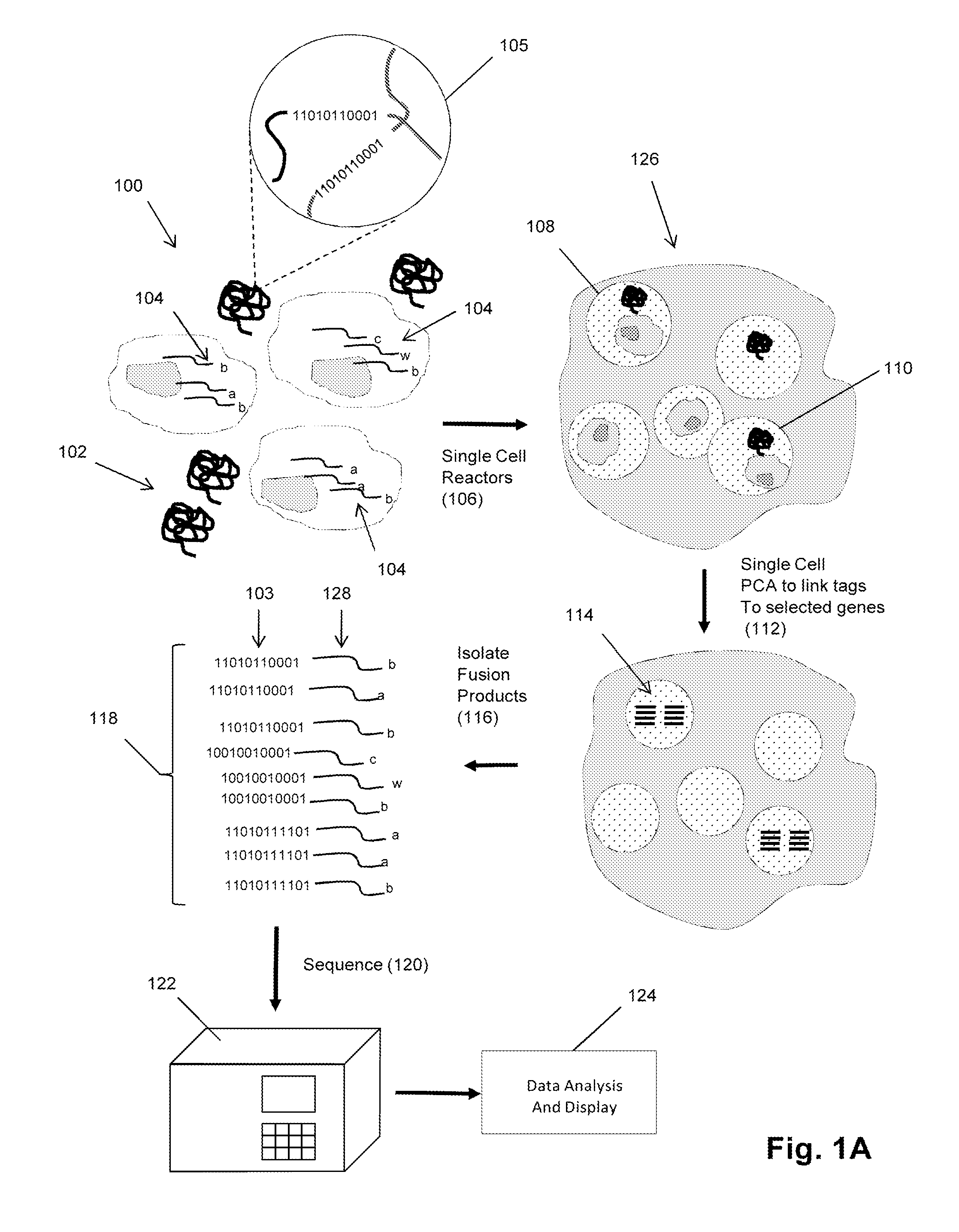 Single cell analysis using sequence tags