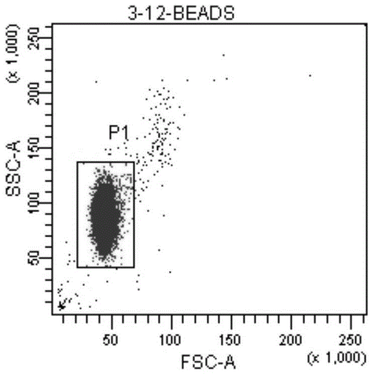 Method for detecting activation peroid markers of T lymphocyte in human peripheral blood