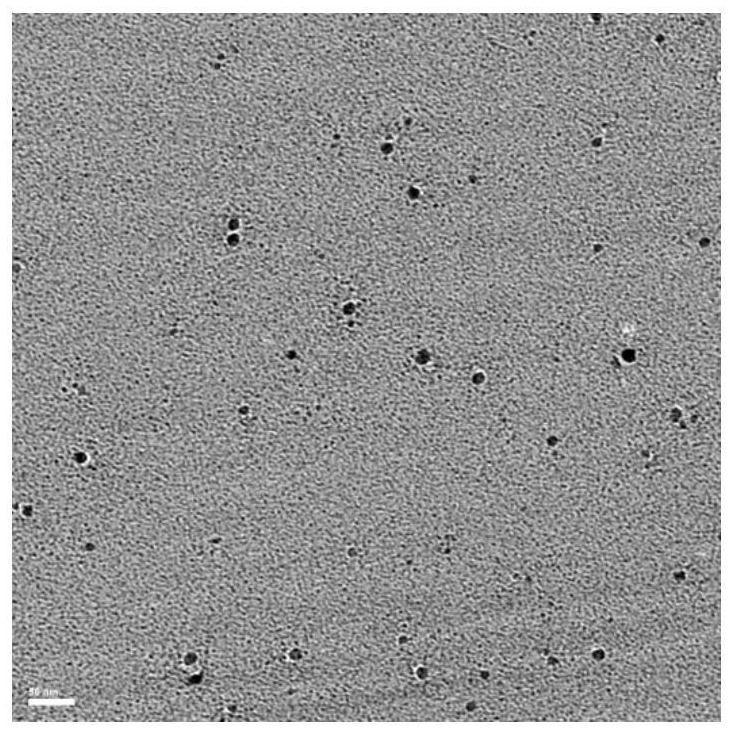 Small-size near-infrared II fluorescence imaging contrast agent, preparation method and application thereof