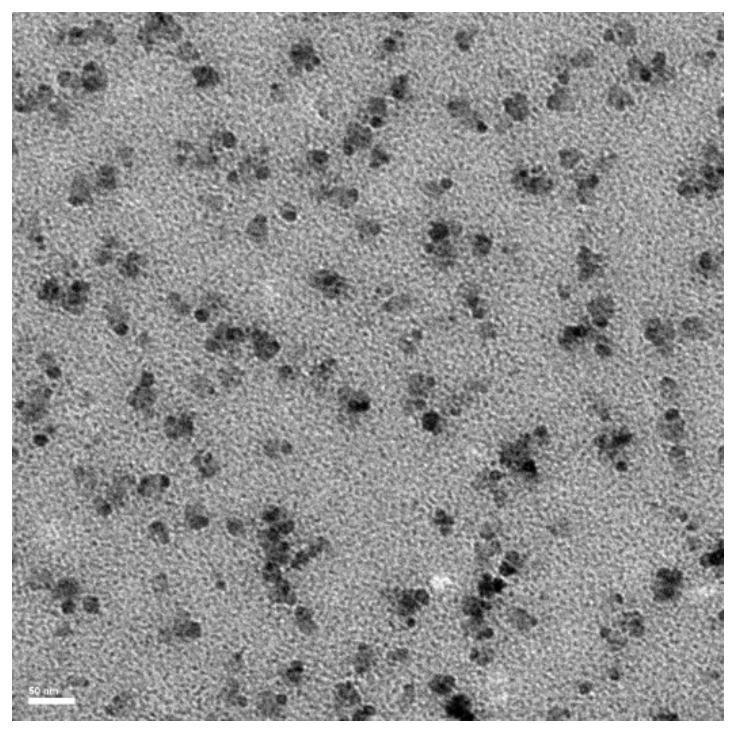 Small-size near-infrared II fluorescence imaging contrast agent, preparation method and application thereof