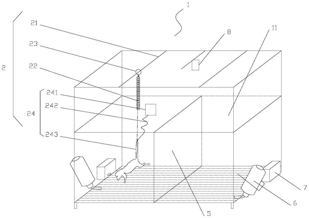 A tail-suspended squirrel cage