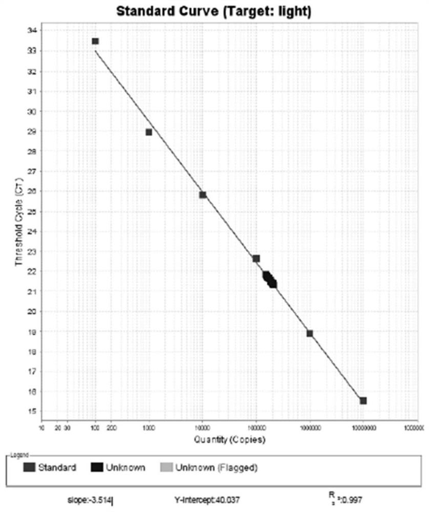 Primer probe composition for detecting cell genetic stability and application thereof