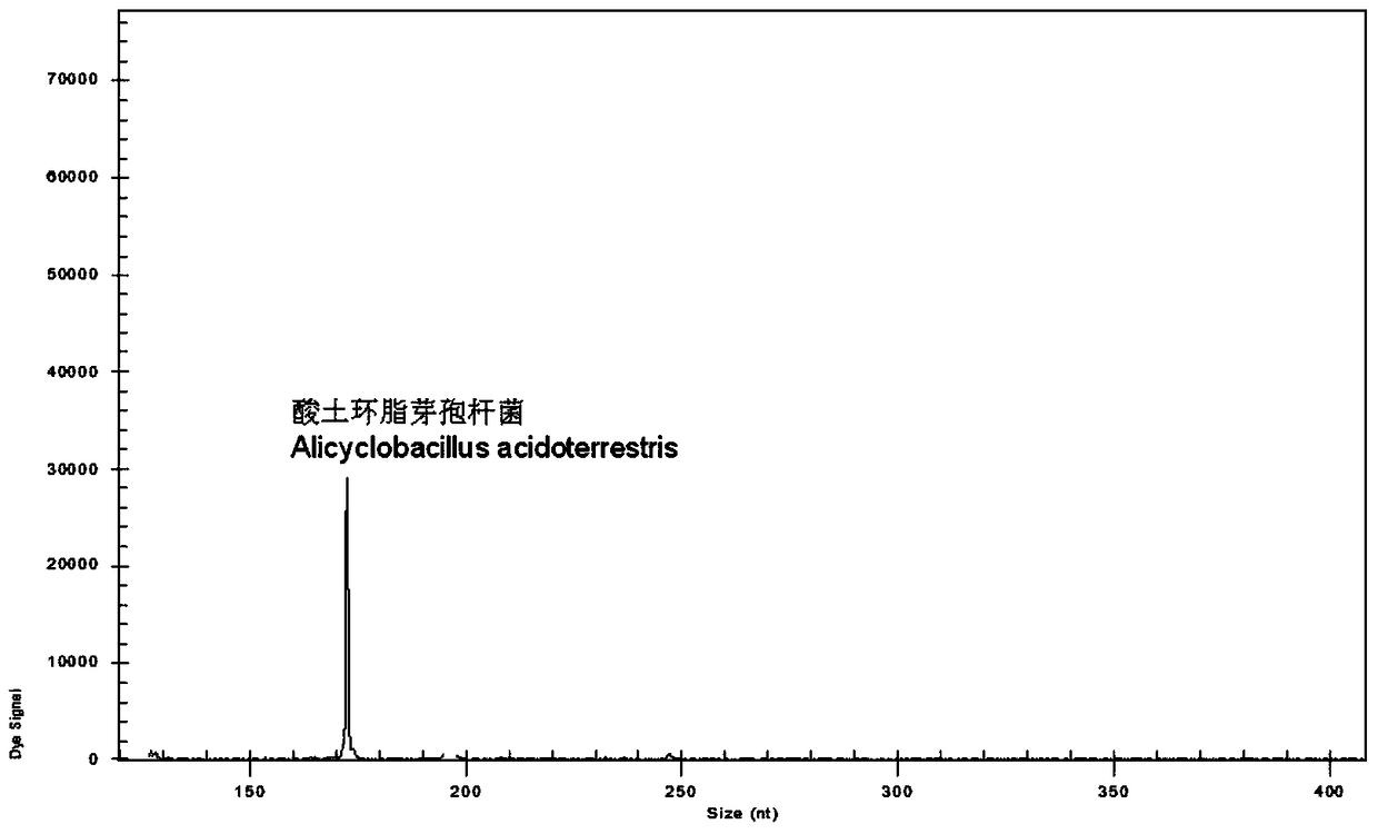 A rapid genetic screening method for the simultaneous identification of multiple heat-resistant bacteria in fruit juice beverages