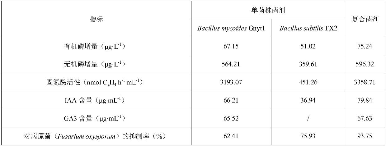 Special mixed strain microbial fertilizer for solanaceous vegetables and preparation method of special mixed strain microbial fertilizer