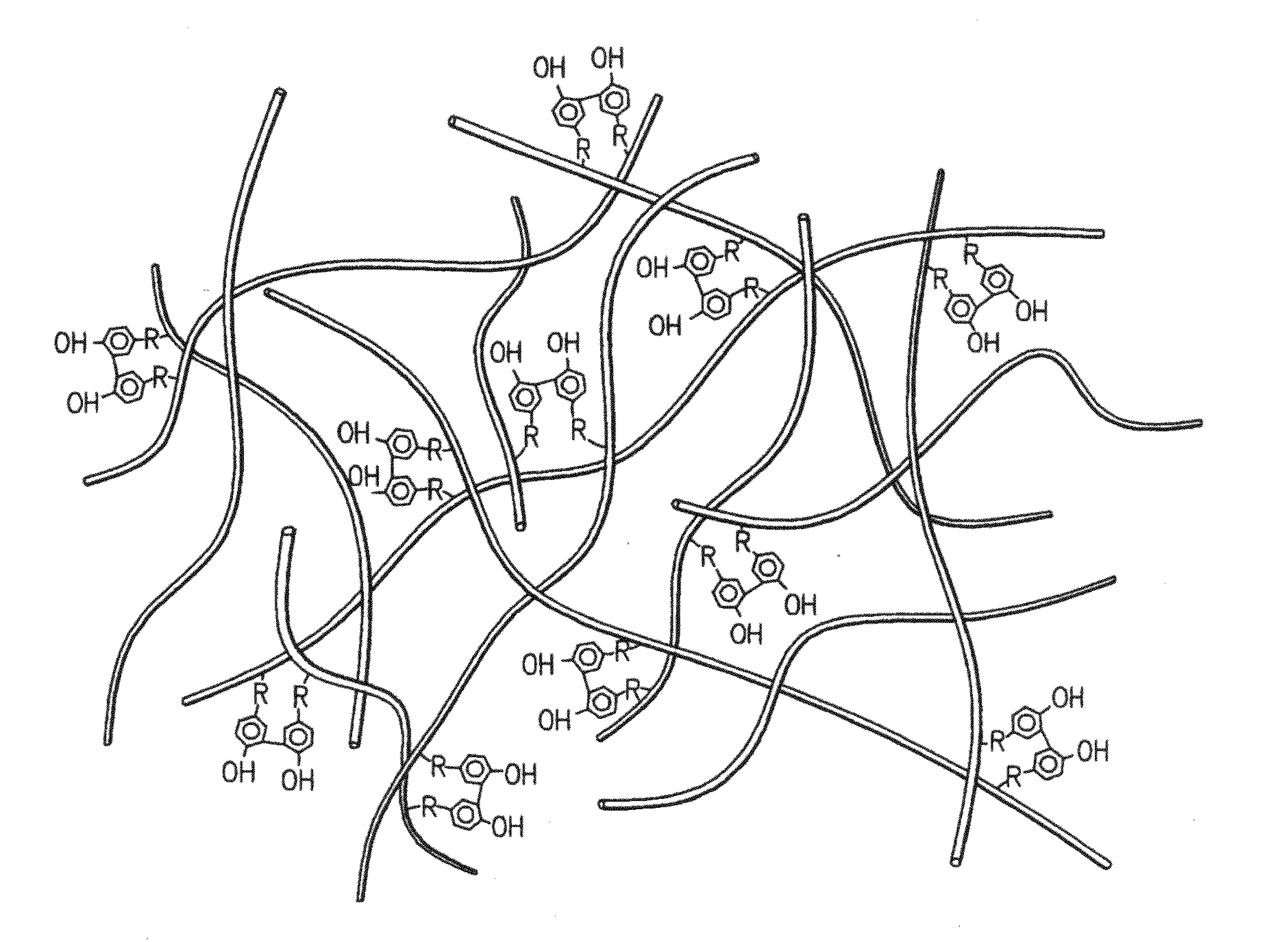 Hydroxyphenyl cross-linked macromolecular network and applications thereof