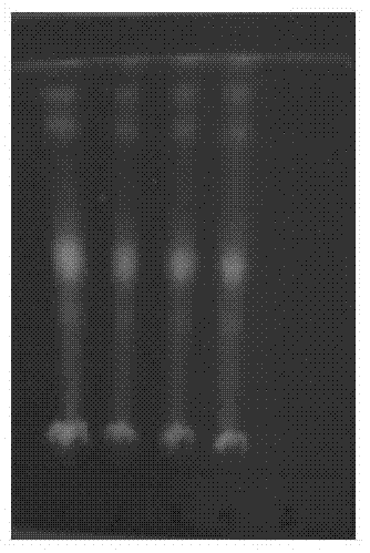 A traditional Chinese medicine spray for treating skin disease or mucous cavity disease