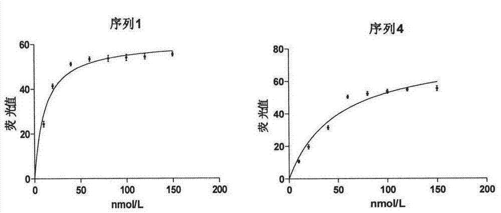 Group of oligonucleotides aptamers capable of specifically recognizing aflatoxin B1