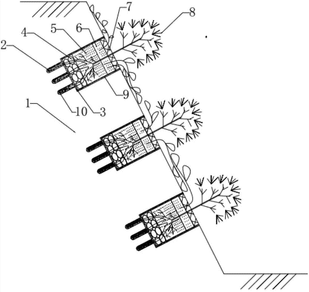 High and steep rocky slope vegetation planting method