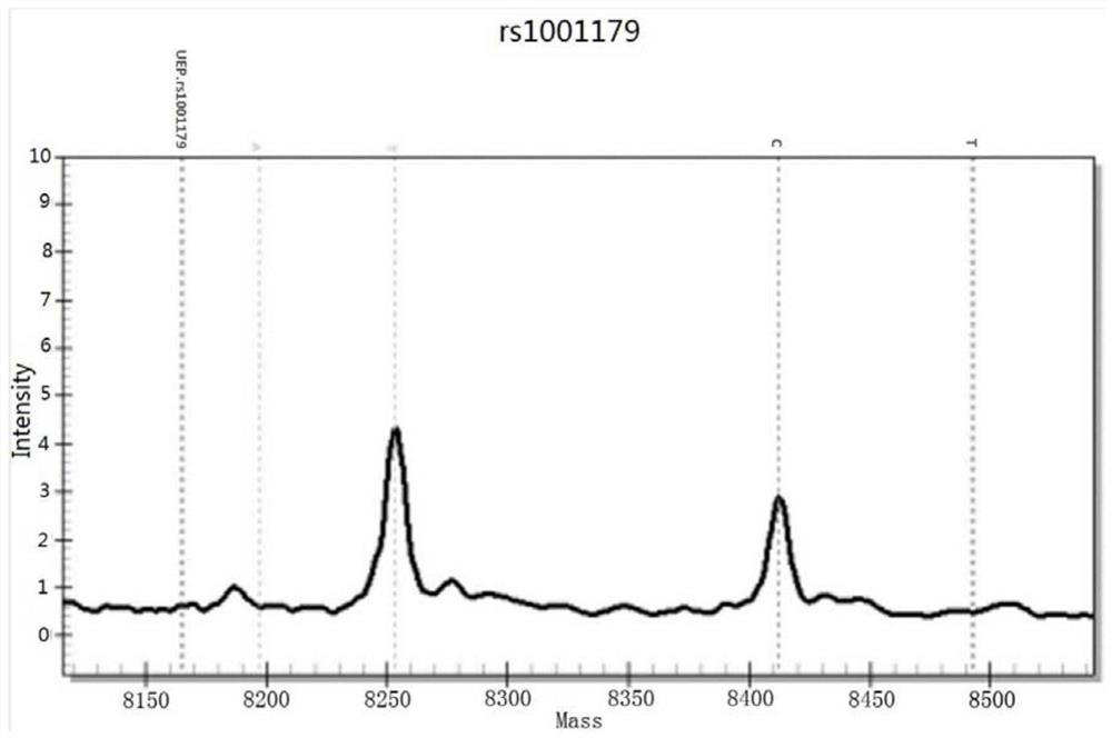 A susceptibility gene detection panel related to skin aging characteristics and its application