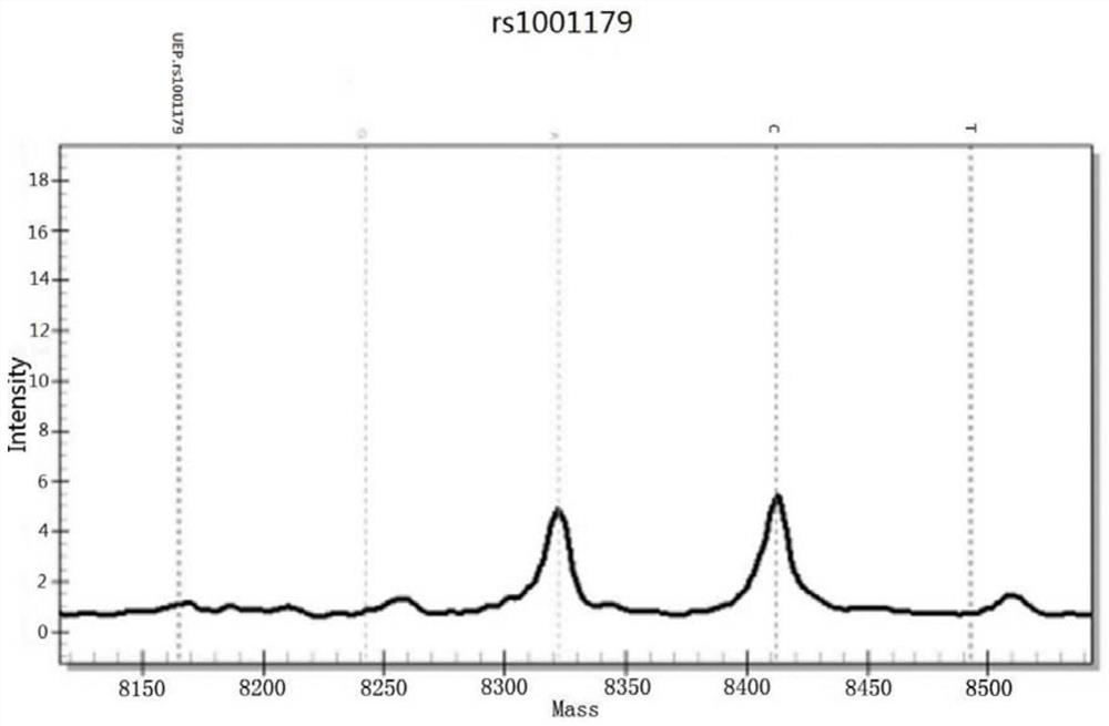 A susceptibility gene detection panel related to skin aging characteristics and its application