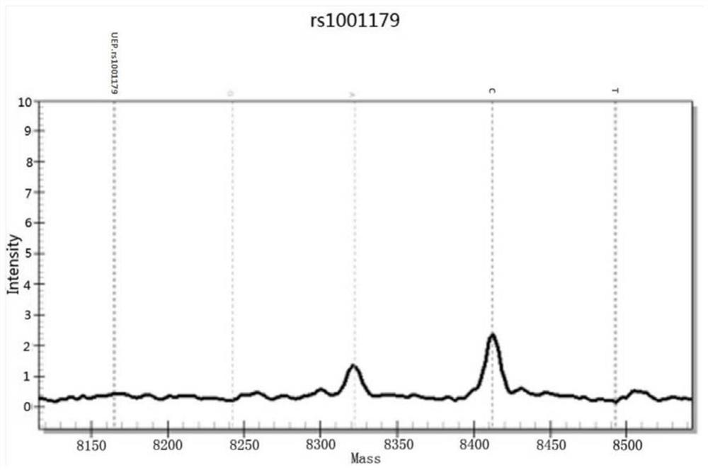 A susceptibility gene detection panel related to skin aging characteristics and its application