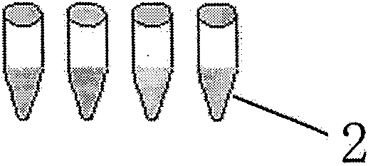 Human transient receptor potential channel protein fluorescence quantitative PCR detection kit and preparation method and application thereof