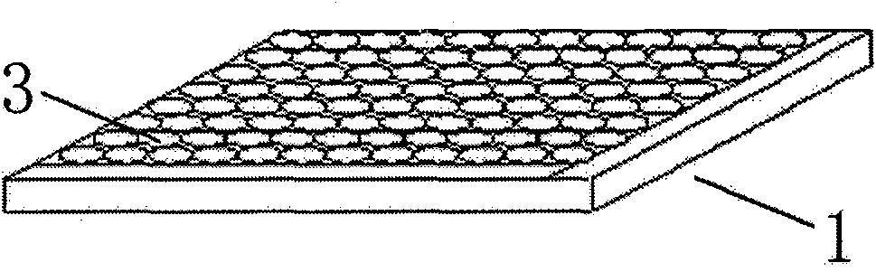 Human transient receptor potential channel protein fluorescence quantitative PCR detection kit and preparation method and application thereof