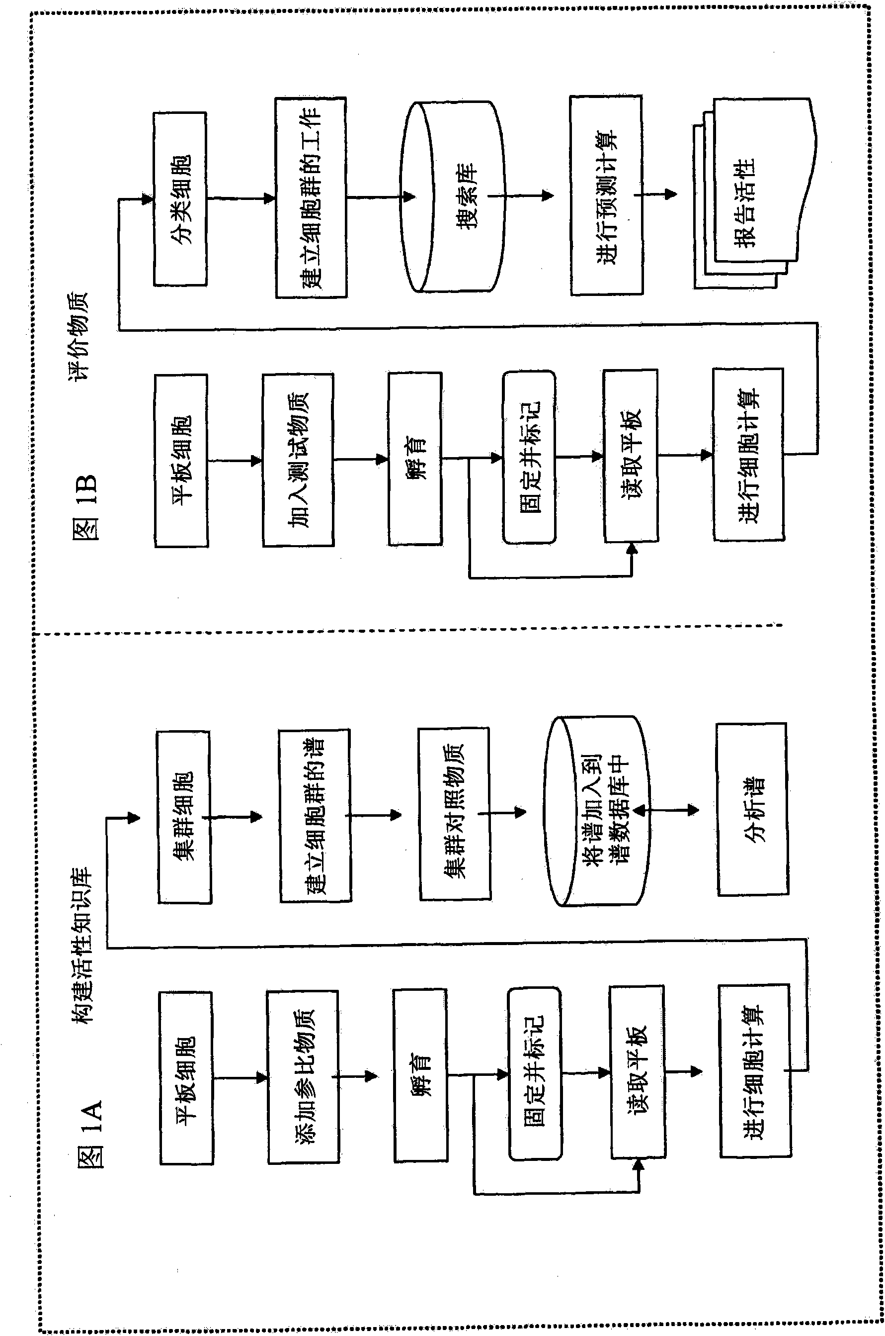 Method for predicting biological systems responses in hepatocytes