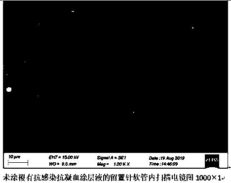 Inner and outer wall anti-infection and anti-coagulation indwelling needle hose and preparation method thereof