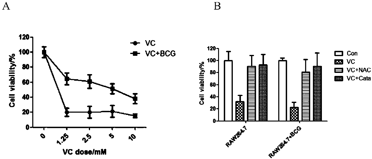 Application of vitamin C in preparation of medicines for treating and preventing tuberculosis