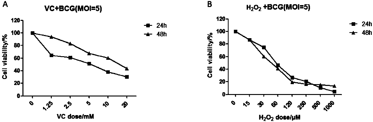 Application of vitamin C in preparation of medicines for treating and preventing tuberculosis