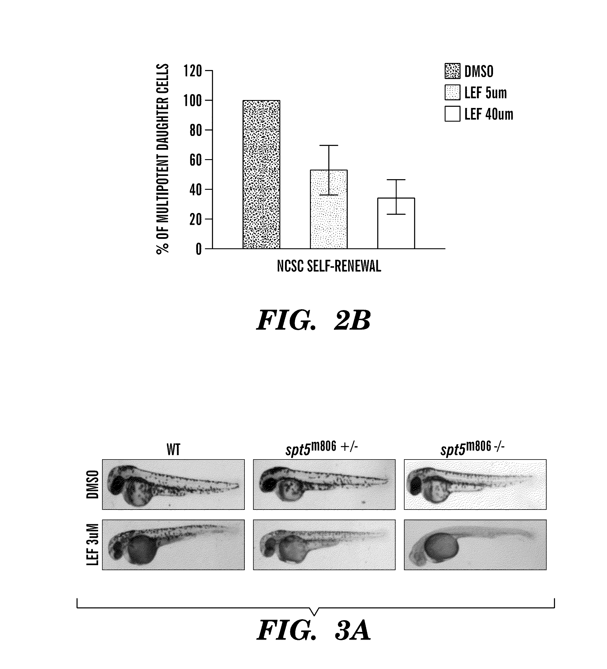 Methods for treatment of melanoma