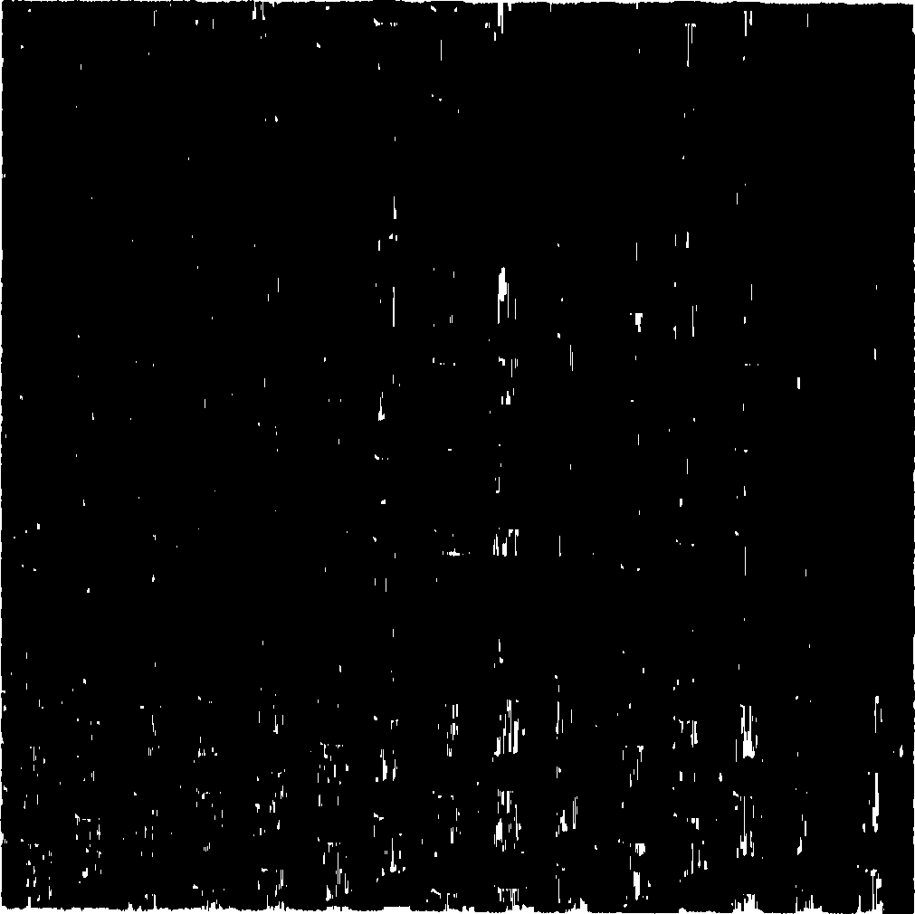 Method for preparing interval and configuration adjustable and controllable nano particle ordered array