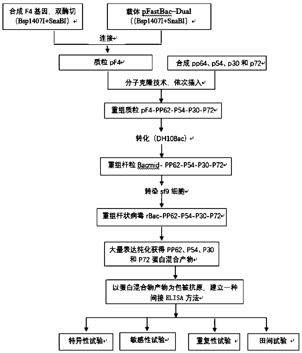 Method for co-expressing four structural proteins of African swine fever virus in insect cells and application thereof