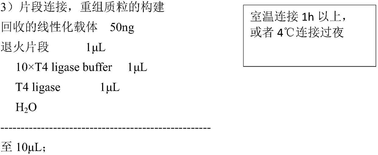 Application of NW_006882077-1 in CHO cell genome to stable expression of protein