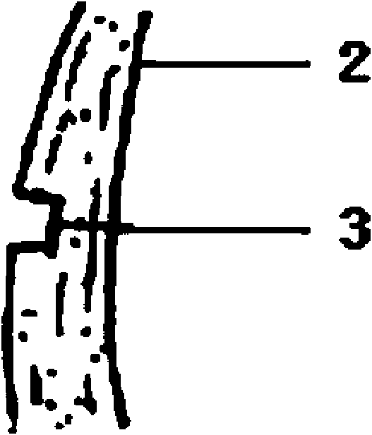 Tree grafting method for scion without interface