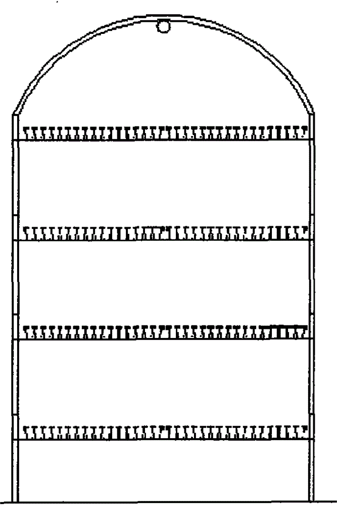 Cutting propagation method of aronia melanocarpa elliot