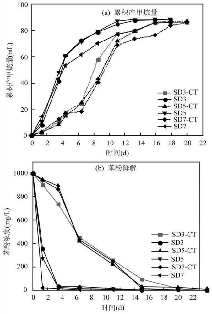 Method for promoting anaerobic degradation of phenolic wastewater by adding biochar